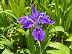 -湖洞水自然风景区