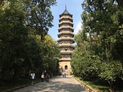 -灵谷景区