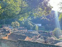 -杨家堂村