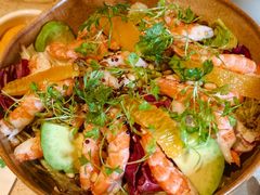 -O'eat Blossom&Pelican(深圳首店)