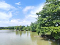 -海珠湖公园