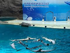 -杭州长乔极地海洋公园