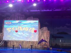 -华夏文旅海洋公园