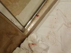 -南京维景国际大酒店(南京博物院店)