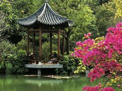 -云溪植物园