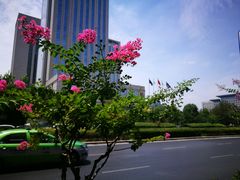 -美盛喜来登大酒店-盛宴标帜餐厅