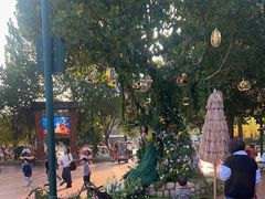 -郑州方特梦幻王国