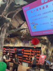 -探洞工场(丰科万达旗舰店)