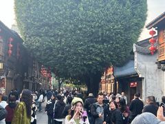 -三坊七巷历史文化街区