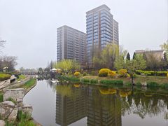 -丁家河公园