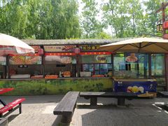 -合肥滨湖国家森林公园