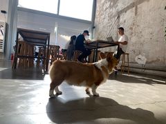 -VOYAGE COFFEE 咖啡烘焙工坊店(798艺术区店)