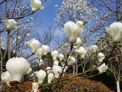 -无锡市市民中心