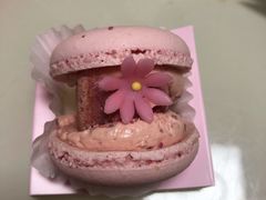 -好利来(熙地港店)
