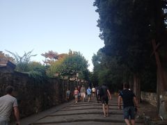 -米开朗琪罗广场