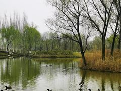 -西安浐灞国家湿地公园