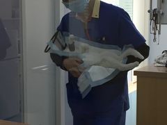 -芭比堂动物医院·犬猫全科·异宠专科(雁塔分院)