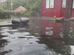 -中铁花水湾四季温泉谷