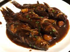 红烧昂刺鱼-逸林轩中餐厅(中信泰富朱家角锦江酒店)