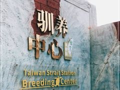 -广东惠东海龟国家级自然保护区