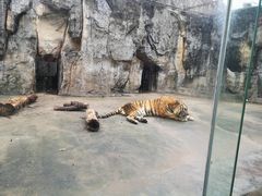 -南昌动物园