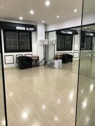 -DOS HOP潮上舞蹈