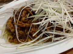 -功夫兔