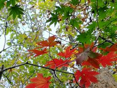 -丹东市五龙山风景区