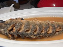 -阿庄新豫菜(通泰路店)