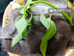 -菜园坝老火锅(金岛店)