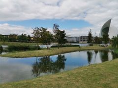-南汇新城城市公园