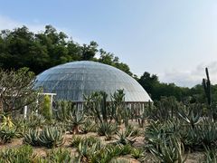 -深圳仙湖植物园