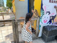 -前小桔亲子创意农场·草莓采摘·露营烧烤