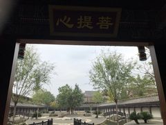 景点-大佛禅院