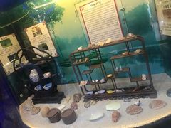 -上海大自然野生昆虫馆(东方明珠·爬宠昆虫探索中心)