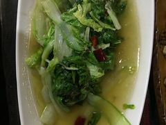 -燃木齐藏餐厅(八宿店)