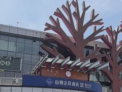 -山姆会员商店(亦庄创意生活广场店)