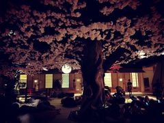 -蓝鲸湾汤泉(包河店)