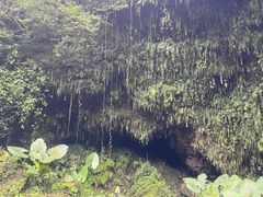 -海口火山口国家地质公园