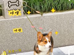 -静安公园(静安寺街道)