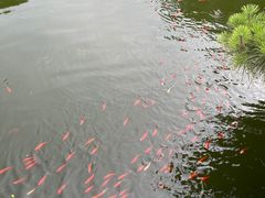 -中国唐苑
