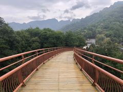 -少华山国家森林公园