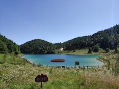 -武陵山森林公园