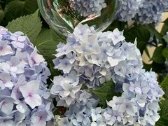 -花满楼(启秀路店)