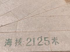 -青岛大珠山景区