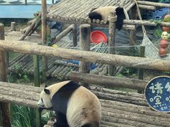 -大连森林动物园