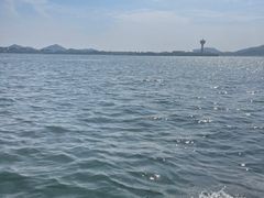 -美顺香食府鱼头老店(雪野湖店)