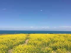-毛家湘菜馆(青海湖店)