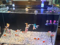 -济州五日民俗市场