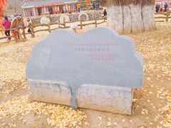 -千年银杏谷文化旅游区